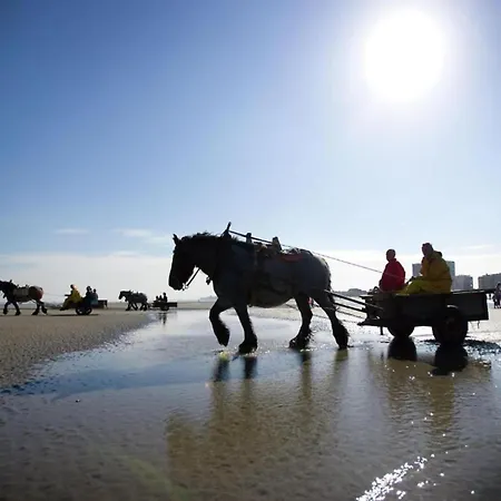 In By The Nieuwpoort